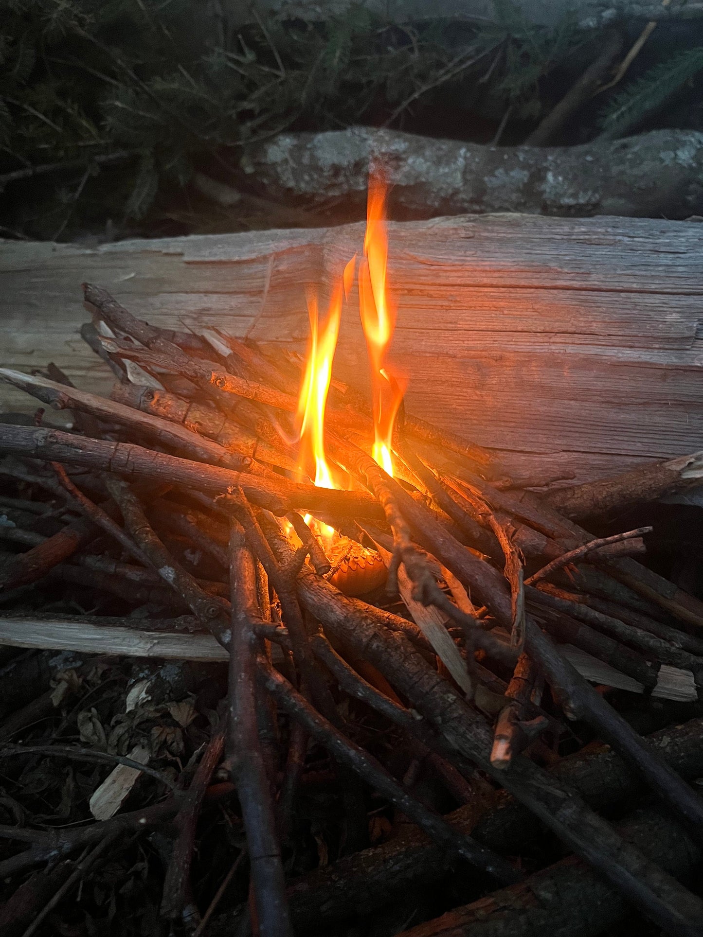 Soy Wax Fire Starters