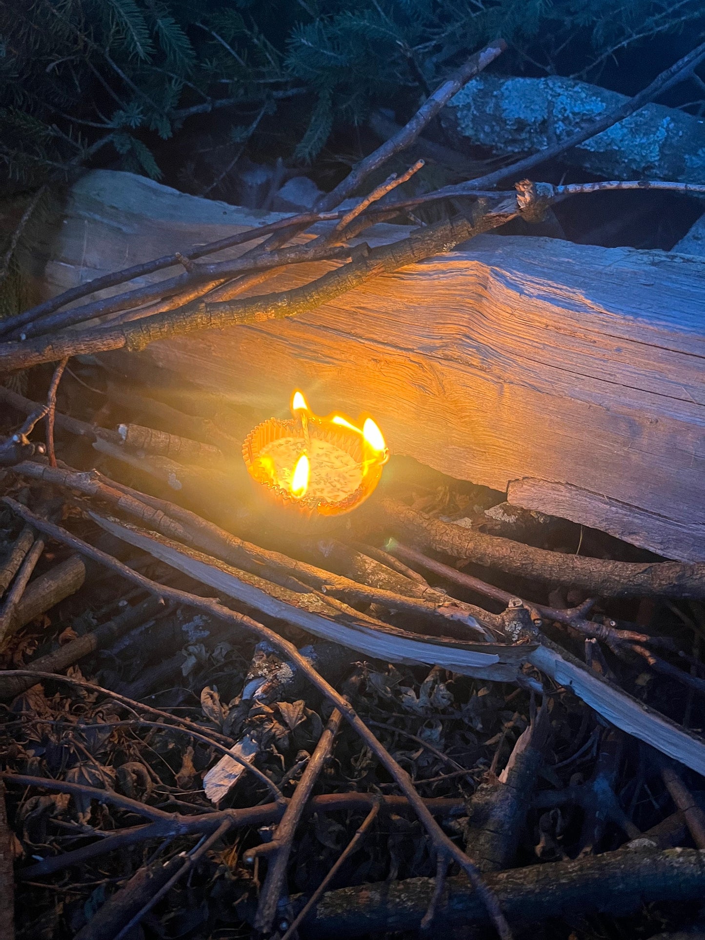 Soy Wax Fire Starters