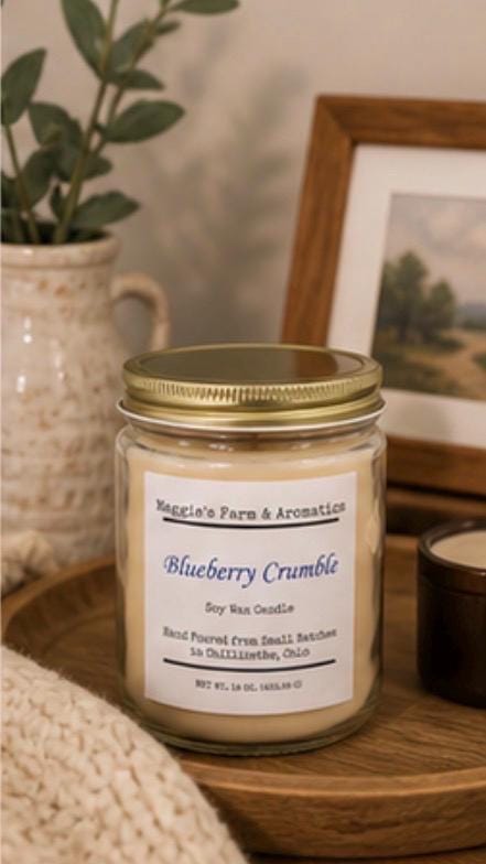 Soy Wax Candle Vegan Candle Aromatherapy Home Fragrance 100 Hour Burn Dye Free Candle