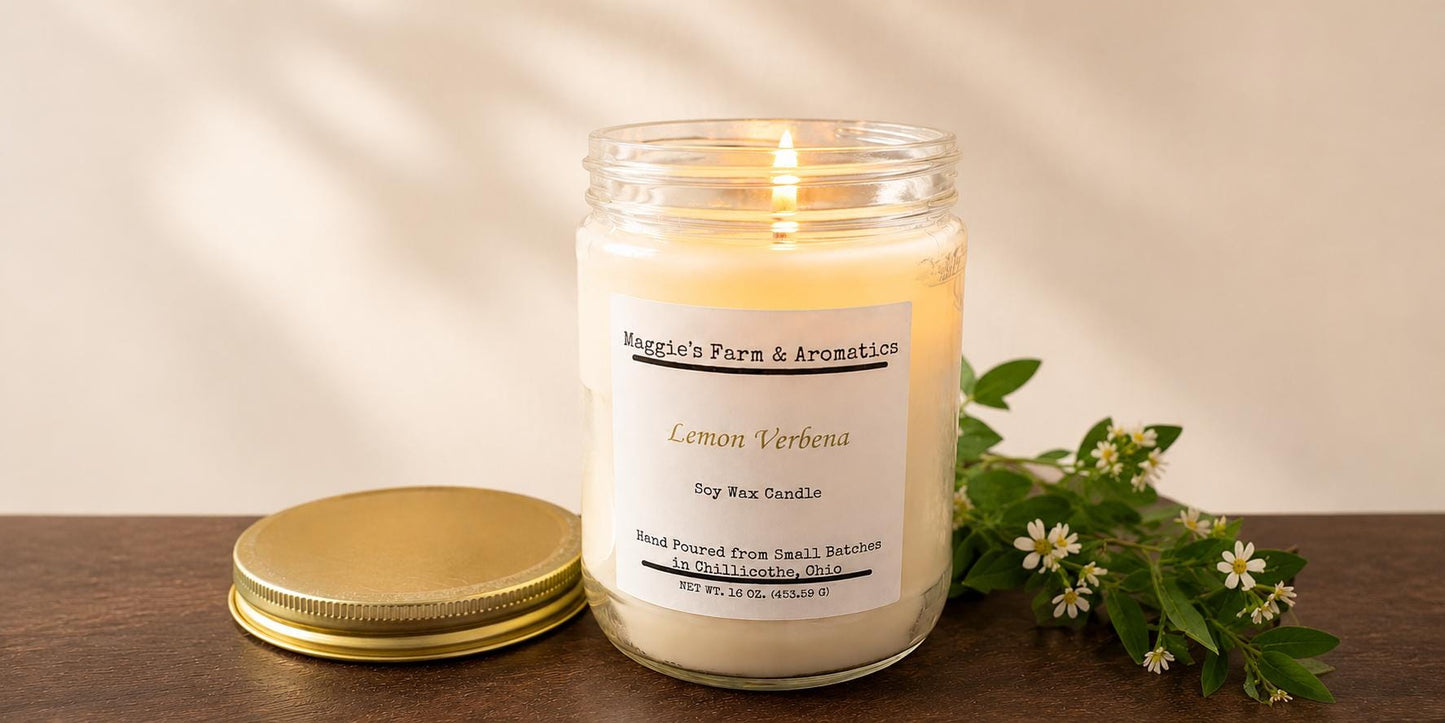 Soy Wax Candle Vegan Candle Aromatherapy Home Fragrance 100 Hour Burn Dye Free Candle